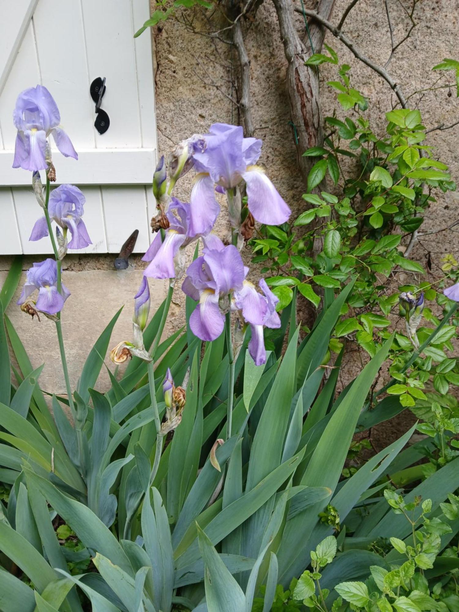 Maison Frankrijk Couloutre 外观 照片